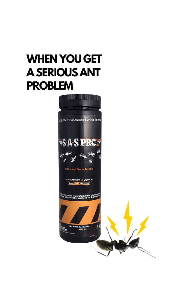 SAS PRO ANT GRANUALS